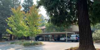 Adorable 3 Bed 1.5 Bath Covell Commons Condo ( fall Rental ) Gallery 39