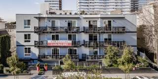 Barry Diamond Gallery 4