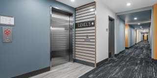 The Verge Gallery 41