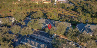 15205 HARBOUR VISTA CIR Gallery 29