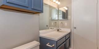 Songbird Apartments Gallery 29