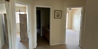 11118 Scotscraig Court Gallery 16