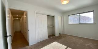 Hidden 4 Bed 2 Bath Gem in South Austin! Gallery 22