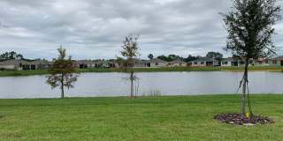 17841 Blazing Star Cir Clermont, FL  34714.  Four bedrooms space two bath space two car garage. Gallery 1