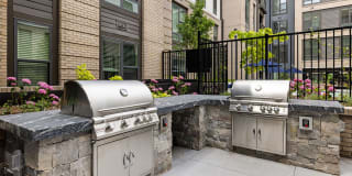 The Signal Gallery 25