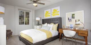 Casa Mira View Gallery 101