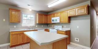 952 Queen Annes Lace (new) Gallery 11