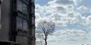8200 Jefferson Avenue 8200 Jefferson Avenue Gallery 1