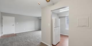 Grove at Alban Gallery 27