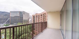 Crystal Place Gallery 20