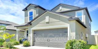 9434 Lemon Drop Loop Gallery 1