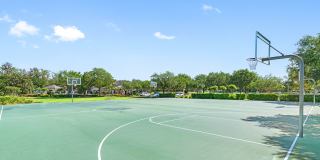 Cortland Independence Gallery 26