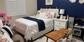 27383 Pumpkin Gallery 12