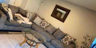33 Willa Drive - B Gallery 2