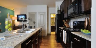 Alvista Round Rock Gallery 44