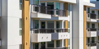 Elements Gallery 132