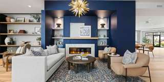 Solis Birkdale Gallery 18