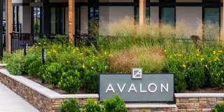 Avalon Princeton Circle Gallery 48