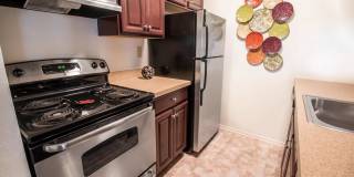 Forest Creek Gallery 1