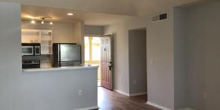 4799 Via Palm Lakes Gallery 1