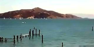 Beachfront 4BR/4BA on Swede's Beach — Private Beach Access, Panoramic Bay Views | Old Town Sausalito Gallery 15