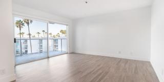 Ocean Club Gallery 8