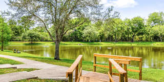 Milana Reserve Apartment Homes Gallery 16