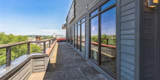 The Griff Gallery 37