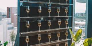 X Phoenix Gallery 23