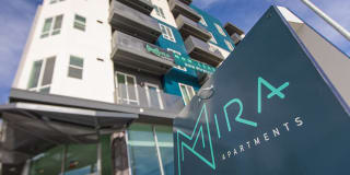 Mira Gallery 43