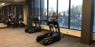 The Redwell Gallery 6