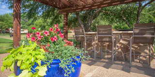 The Trails Apartments Gallery 5