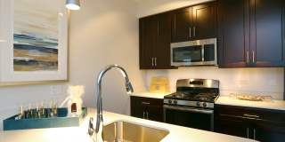The Residences at New City Gallery 19
