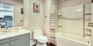 Eviva Midtown Gallery 27