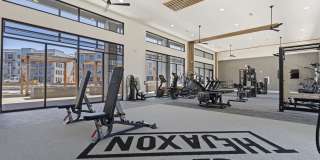 The Jaxon Gallery 28