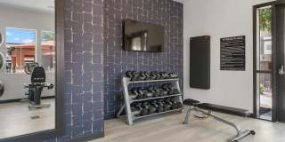 Altair Apartments Gallery 25