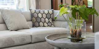 Aria on Cave Creek Gallery 33