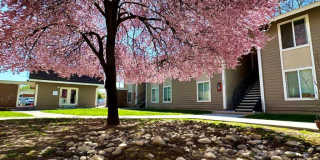 Central Pointe Gallery 11