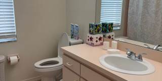 SAFETY HARBOR HONEY Gallery 19