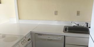 Midtown High Rise Apartment Available Now Gallery 5