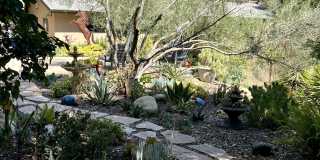 1122 Palomino Road Gallery 47