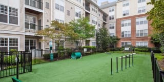 Sofi Lyndhurst Gallery 22