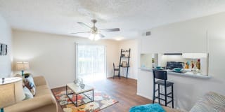 Northwest Hills Gallery 2