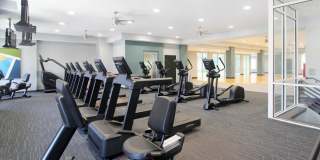 The Biltmore Gallery 4