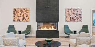Meritum Evergreen Gallery 22