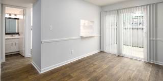 Hidden Colony Gallery 6