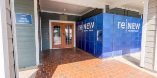 ReNew Towne Oaks Gallery 35