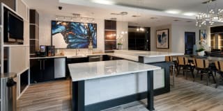 800 Carlyle Gallery 13