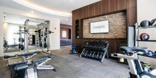 Emerson Mill Avenue by Mark-Taylor Gallery 18