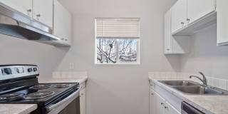 DESIRABLE MILLWOOD NEIGHBORHOOD ON TREE LINED STREET Gallery 1